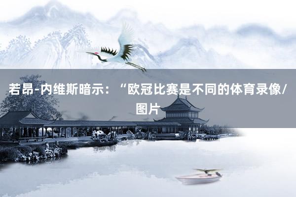 若昂-内维斯暗示：“欧冠比赛是不同的体育录像/图片