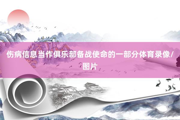 伤病信息当作俱乐部备战使命的一部分体育录像/图片