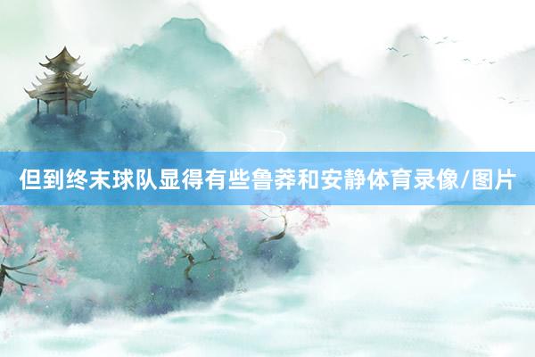 但到终末球队显得有些鲁莽和安静体育录像/图片