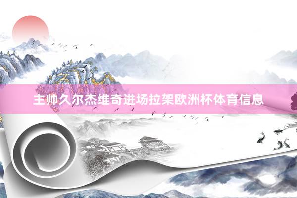 主帅久尔杰维奇进场拉架欧洲杯体育信息