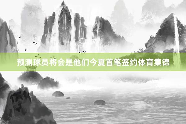 预测球员将会是他们今夏首笔签约体育集锦