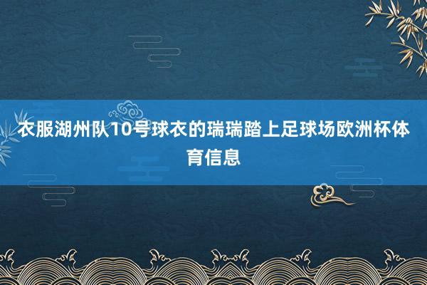 衣服湖州队10号球衣的瑞瑞踏上足球场欧洲杯体育信息