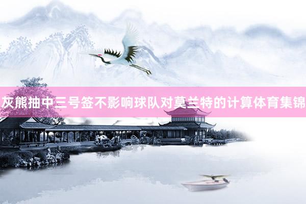 灰熊抽中三号签不影响球队对莫兰特的计算体育集锦