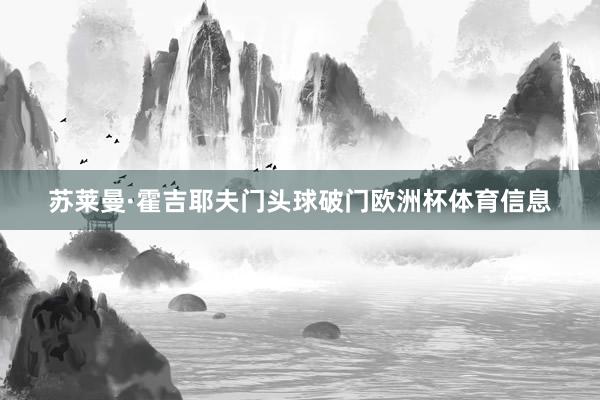 苏莱曼·霍吉耶夫门头球破门欧洲杯体育信息